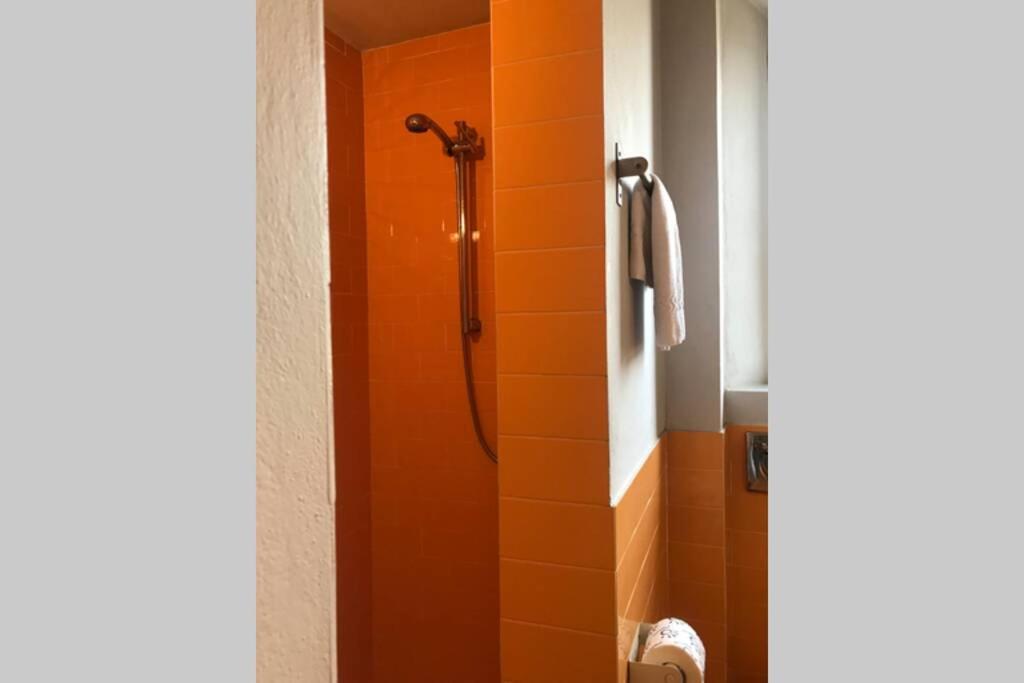 Sunny Top Floor In San Frediano Florence Ngoại thất bức ảnh